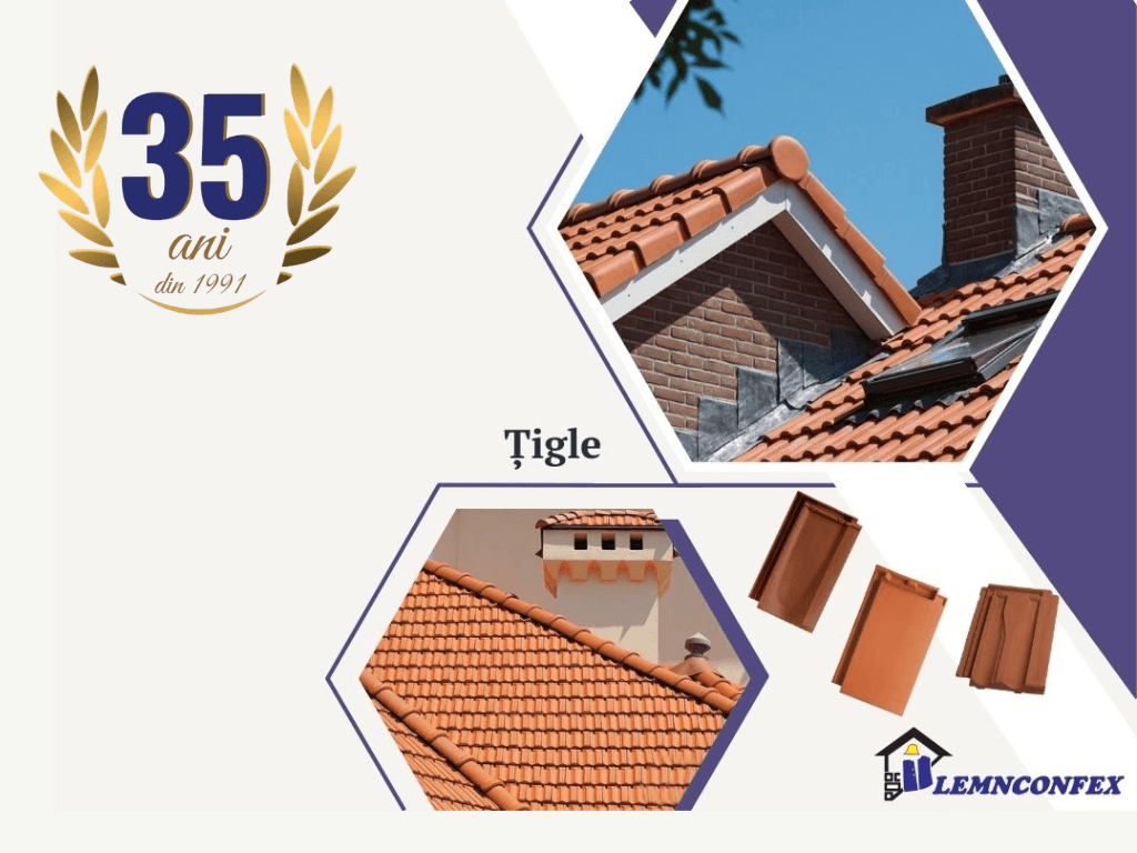 Home 28 Design fara titlu 100 1