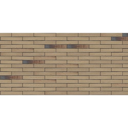 Terca Linnaeus Salix 1