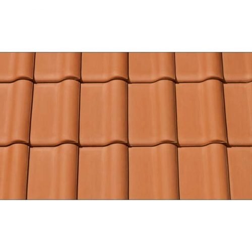 PRO FOT BAL FLA LEN 100 natur SALL AINXL V1 2169x2600 550x320 1